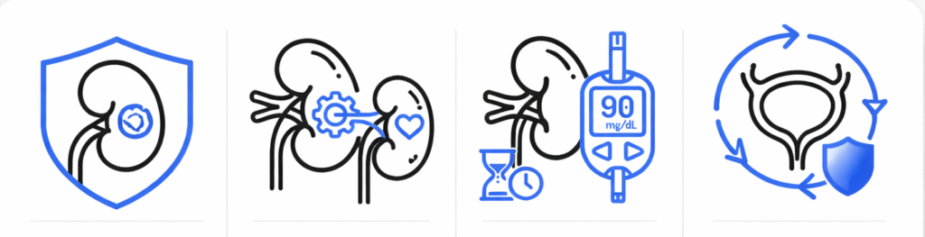saúde renal e metabólica integrada